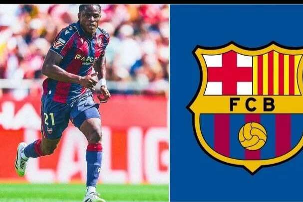 这为转会增, itc, 又一颗新星