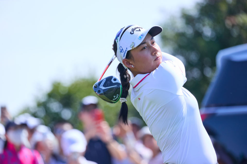 总成绩, prSlg, RvbaR